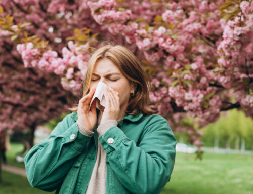 Les allergies saisonnières : Comment le CBD peut vous aider à mieux vivre le printemps à La Farlède