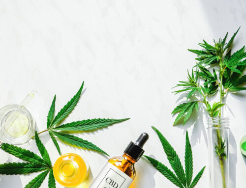 Voyager avec du CBD : Ce que vous devez savoir avant de partir cet été