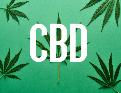 Les bienfaits du CBD pour les seniors : Un allié naturel pour une meilleure qualité de vie à La Farlède et dans le Var