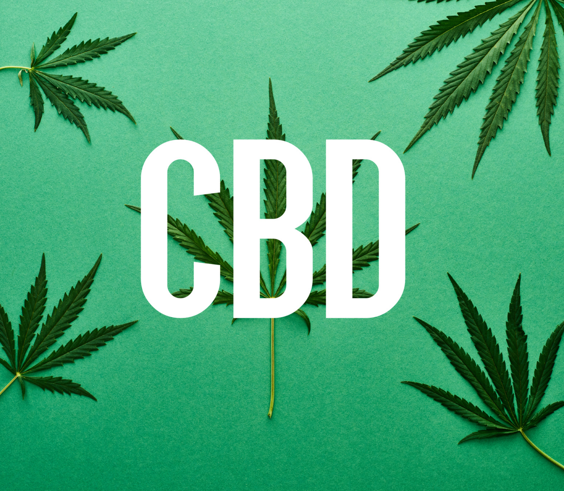 Les bienfaits du CBD pour les seniors