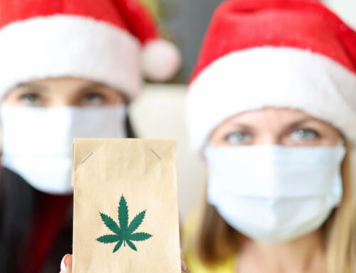 Préparez-vous pour les fêtes : Le guide du cadeau parfait au CBD à La Farlède