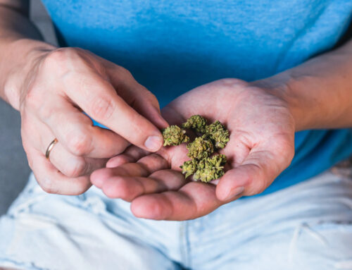 Réflexions de fin d’année : Comment intégrer le CBD dans vos résolutions 2026 ?