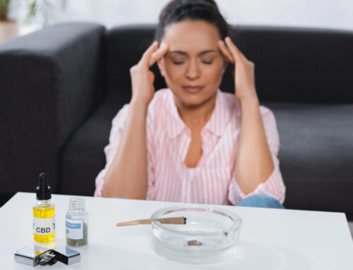 Comment le CBD peut aider les seniors du Var à mieux traverser les rigueurs de l&rsquo;hiver