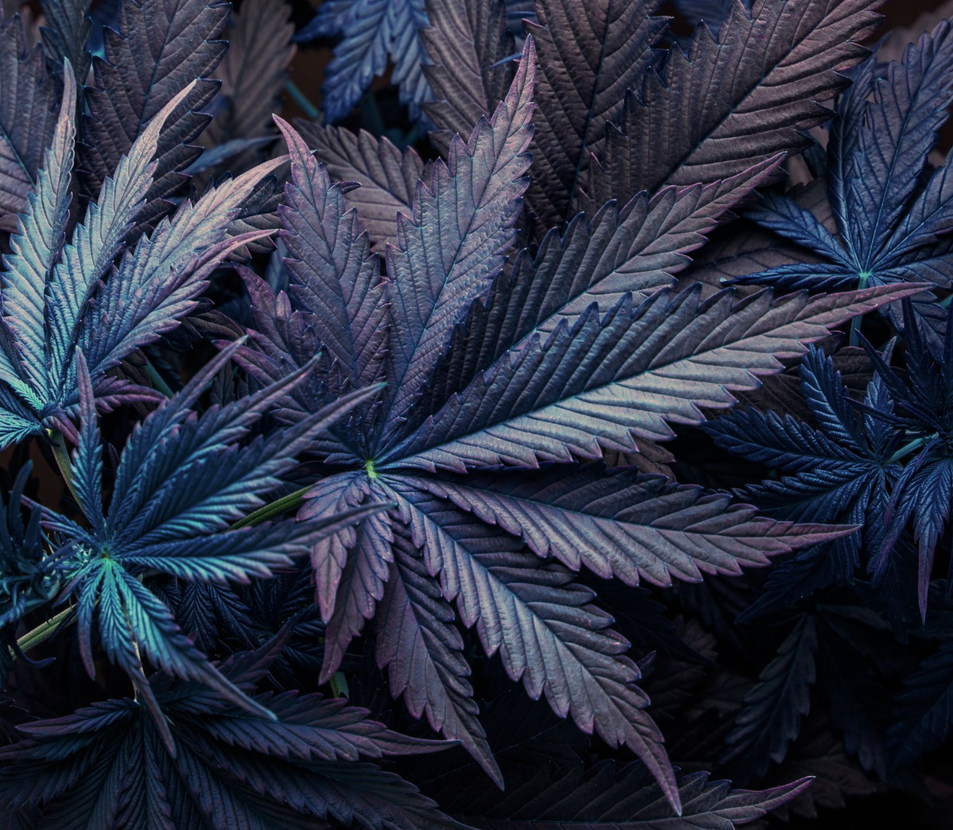 surmonter le blues hivernal