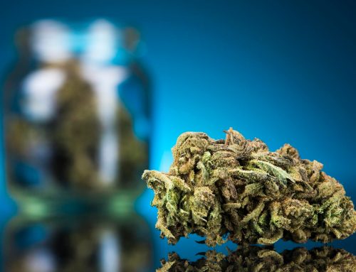 Stress, fatigue mentale : comment le CBD peut aider à retrouver l’équilibre