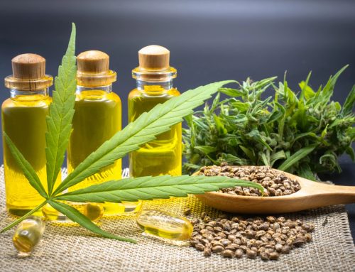 Changement de saison et douleurs corporelles : le CBD comme allié naturel