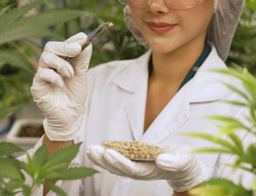 CBD disponible 24h/24 dans le Var : les distributeurs automatiques Herbi&rsquo;diol