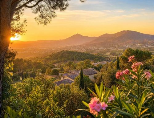 Anticiper le stress de la rentrée dans le var : préparer son corps et son esprit avec le CBD