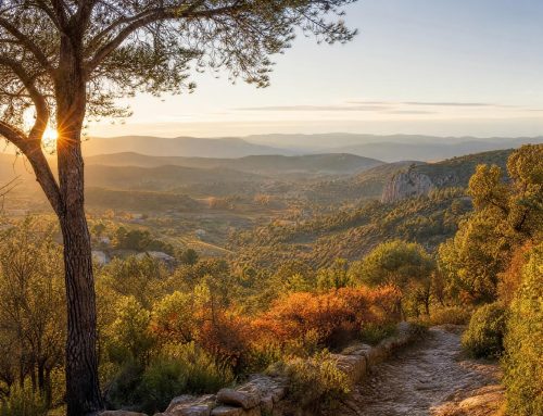 Comment le CBD peut-il aider à surmonter la baisse de moral automnale dans le Var ?