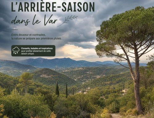 CBD et confort articulaire dans le Var : anticiper l’humidité automnale avec Herbi’diol à La Farlède