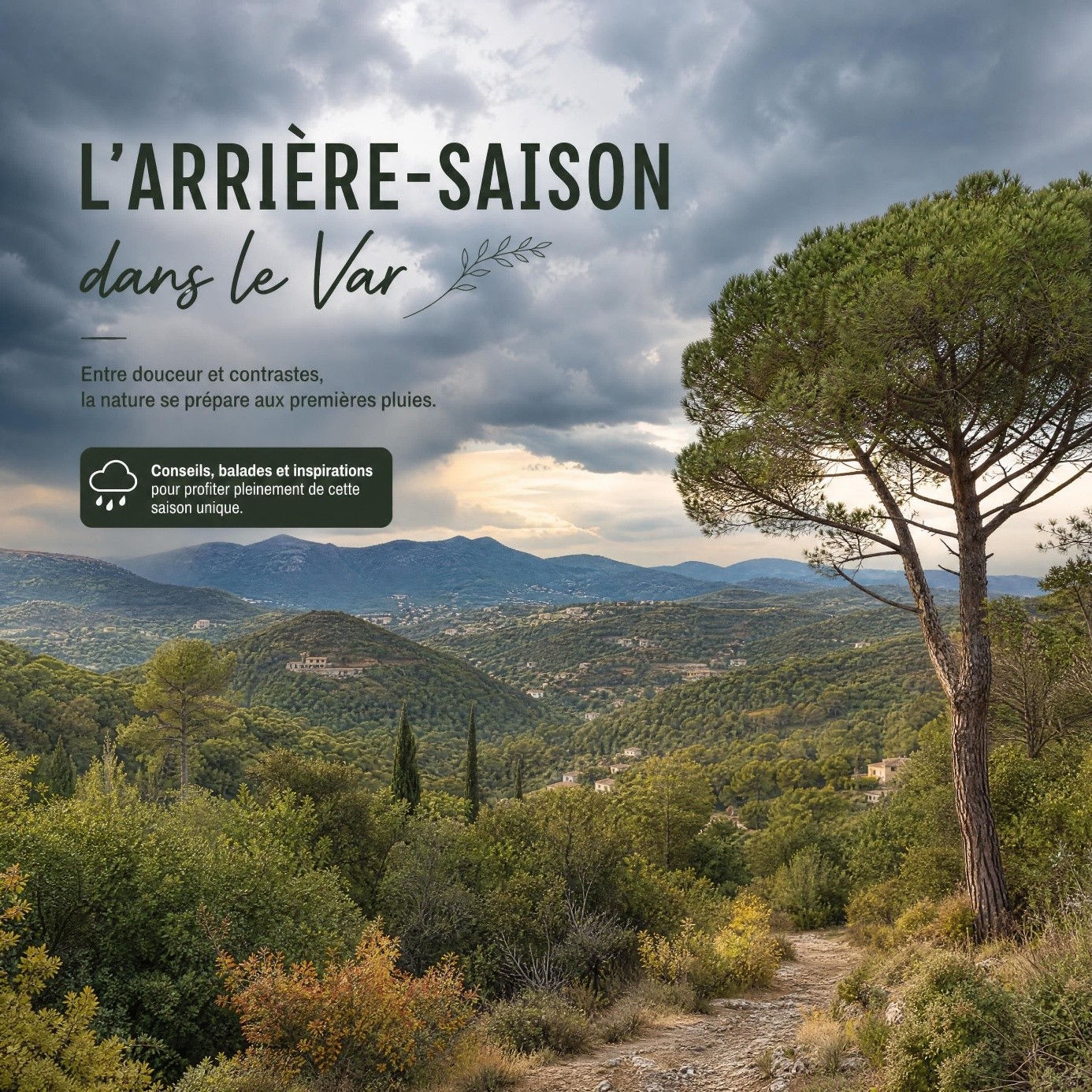 arriere saison